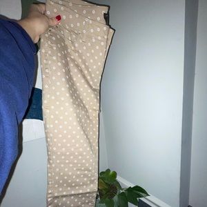Ann Taylor Pants